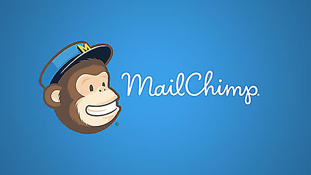 Vincular el sitio web a MailChimp - Hoogma Webdesign Beerta