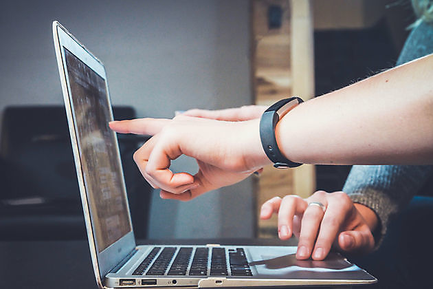 Advies en consultancy - Hoogma Webdesign Beerta